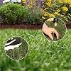 100 Pack Anti-Rust Galvanised Lawn Scarifier Aerator Lawn Rake Garden Ground Pegs for 1500w Electric Lawn Scarifier Aerator Lawn Rake 30L Collection Box