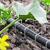 100 Pack Anti-Rust Galvanised Lawn Scarifier Aerator Lawn Rake Garden Ground Pegs for 1500w Electric Lawn Scarifier Aerator Lawn Rake 30L Collection Box