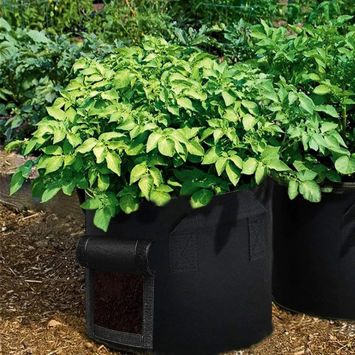 4 Pack of 10 Gallons Plant Grow Bags Thickened Nonwoven Fabric Pots with Handles Potato Vegetable Seed Planters Reusable Sack Garden Patio Growing Bag for Soil Root Strawberry Carrot Tomato