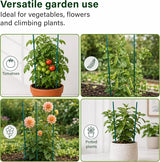 45cm Garden Stakes, 50 pack Bamboo Sticks Plant Support Sticks Green Garden Sticks for Garden Flowers, Vegetables, Weather Resistant Canes Wooden Canes for Gardening Tripods Making