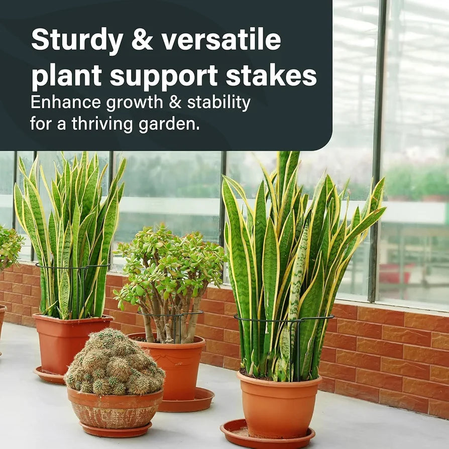 Vivo Technologies 12 Pack Plant Support Stakes 25×60cm,Metal Plant Supports Ring Cage for Garden Sturdy Half Round Garden Plant Supports for Vegetable, Tomatoes, Peony, Roses, Lavender, Flowers