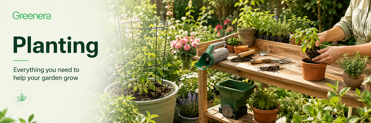 Planting