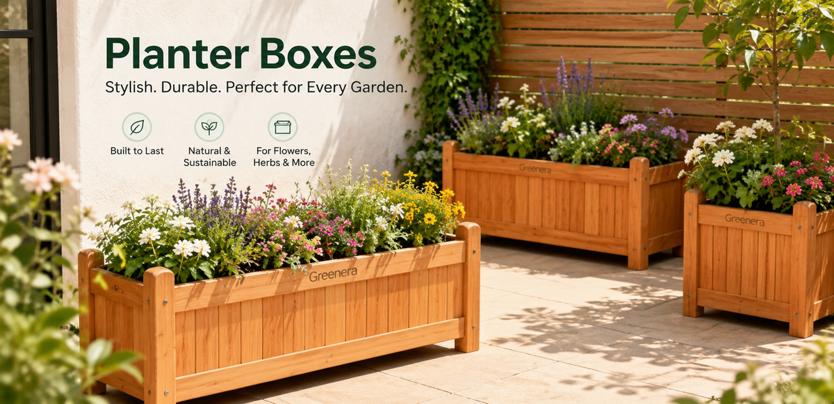 Planter Boxes
