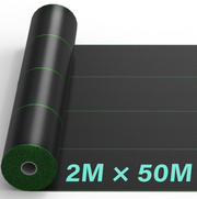 2m × 50m
